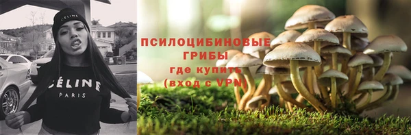шишки Бугульма