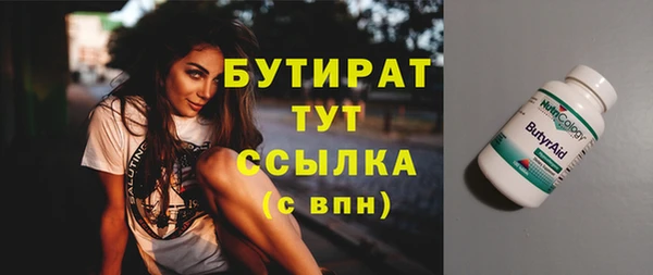 индика Богданович