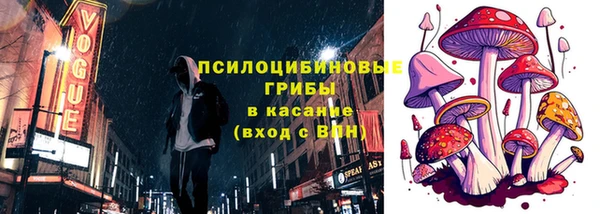 соль ск Бронницы