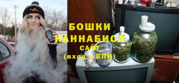 шишки Бугульма