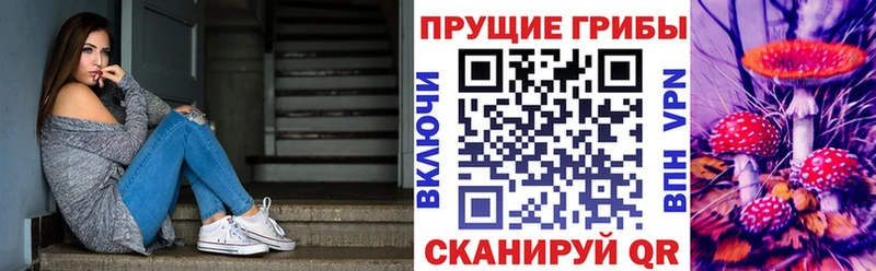 Псилоцибиновые грибы мицелий  Гуково 